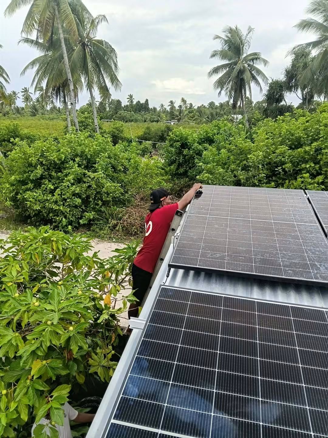 Solar panels on a mounting frame among trees